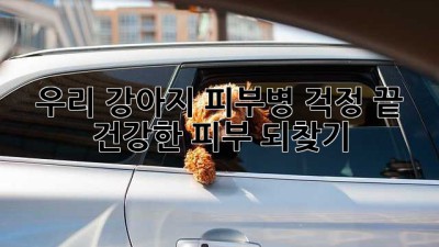 우리 강아지, 피부병 걱정 끝! 건강한 피부 되찾기