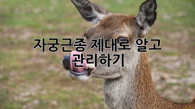 자궁근종, 제대로 알고 관리하기