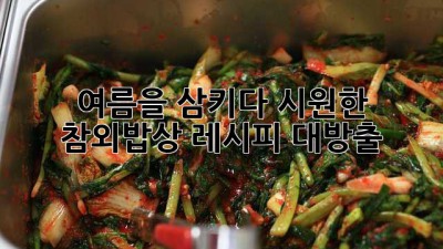 🌞 여름을 삼키다! 시원한 참외밥상 레시피 대방출 💛